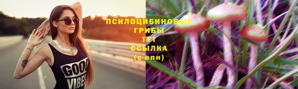 соль ск Нягань
