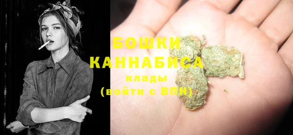 гидропоника Няндома
