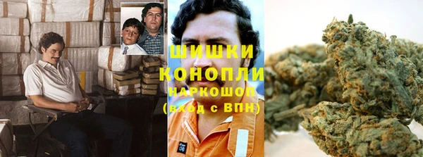 гидропоника Няндома